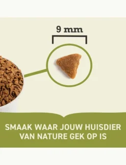 Acana Kattenvoer Homestead Harvest – 340 g