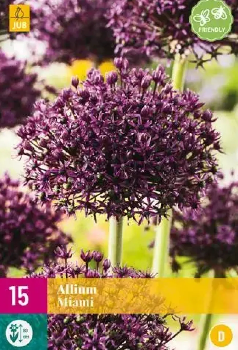 Allium Miami 15 allium bollen