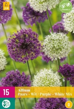 Allium Paars/Wit 15 allium bollen