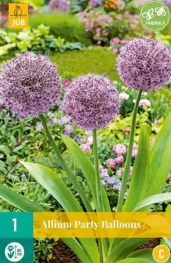 Allium Party Balloons 1 allium bol