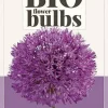 Allium Purple Sensation 5 stuks biologisch geteeld