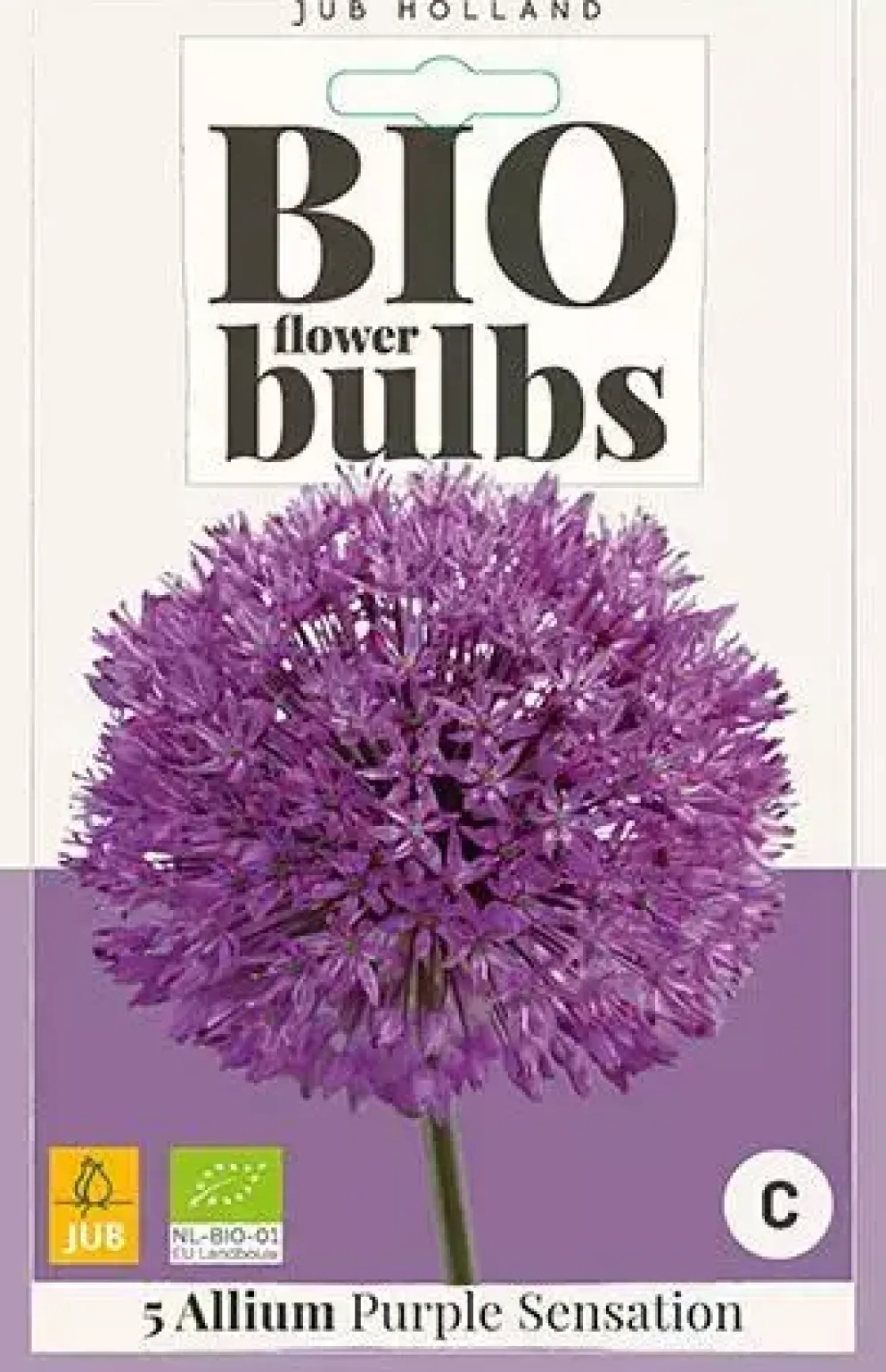 Allium Purple Sensation 5 stuks biologisch geteeld