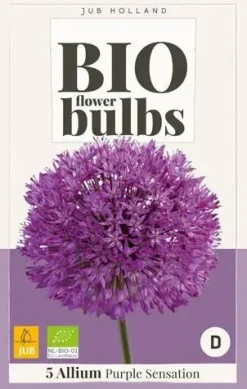 Allium Purple Sensation 5 stuks biologisch geteeld