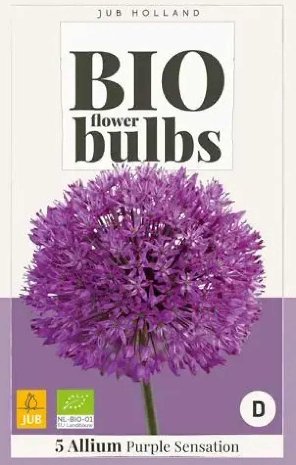 Allium Purple Sensation 5 stuks biologisch geteeld