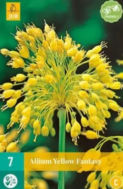 Allium yellow fantasy 7 bloembollen