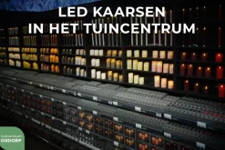 Anna's Collection LED dinerkaars flame effect rustiek 23 cm zilver 2 stuks