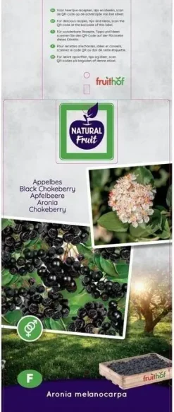 Aronia melanocarpa 'Viking' (Appelbes) fruitplant 60cm