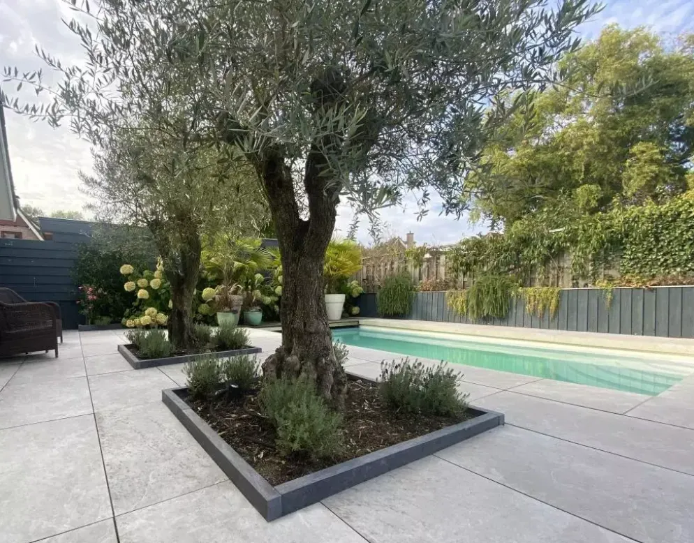 Asian Bluestone Opsluitband met Facet 6x20x100 cm – Blauw Gezoet