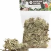 Back Zoo Nature Discovery Branch Moss – 50 g