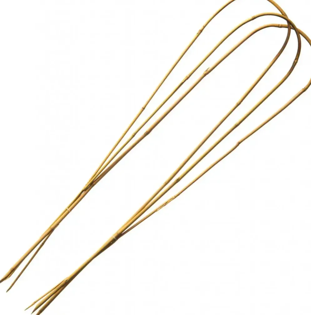 Bamboestok gebogen h150cm naturel