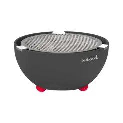Barbecook Joya tafelbarbecue met 4 tangen rvs