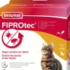 Beaphar FIPROtec® Spot-On Kat – 4 Pipetten