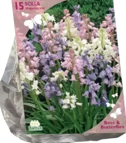 Bees & Butterflies - scilla hispanica. wit 15 stuks