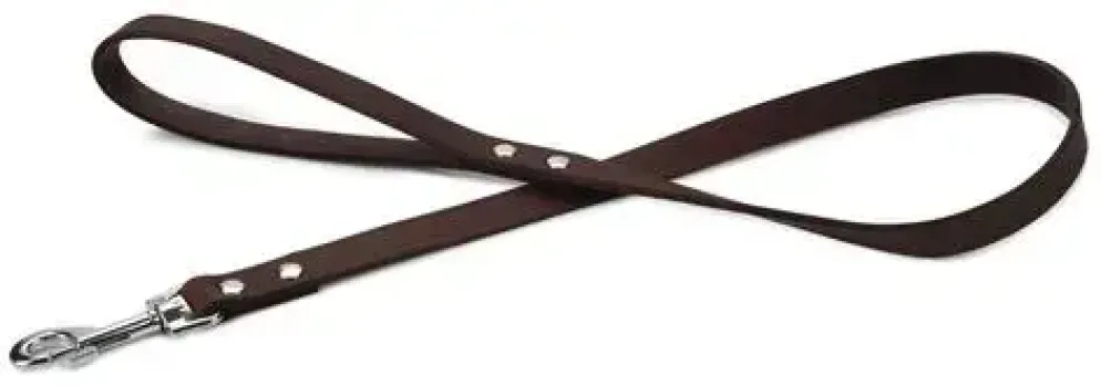 Beeztees hondenriem leer 100x2cm bruin