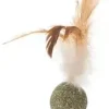 Beeztees kattenspeelgoed catnip bal met veren 12x2.5x3.5cm bruin
