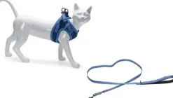 Beeztees Parinca kattentuig met lijn blauw S/M