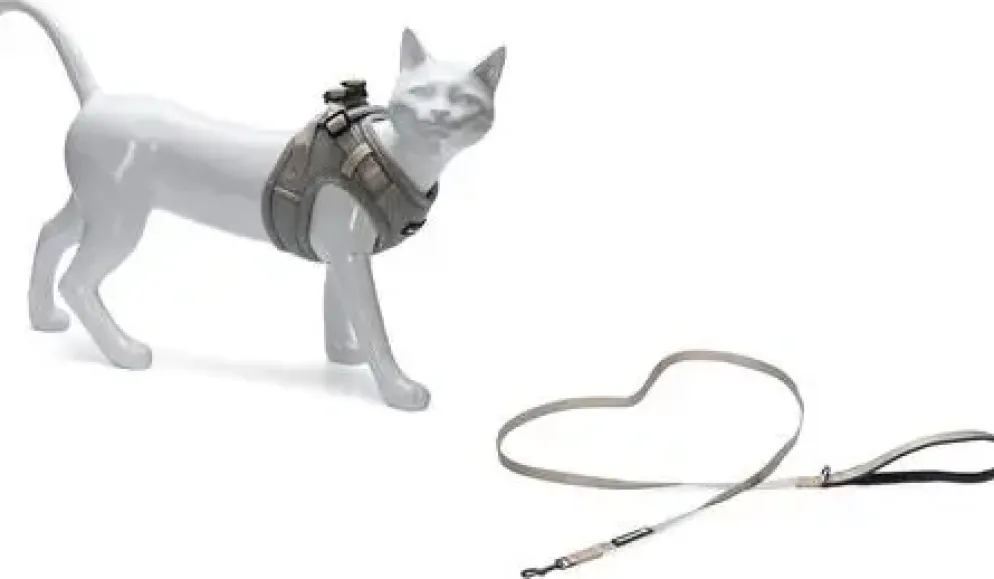 Beeztees Parinca kattentuig met lijn grijs M/L