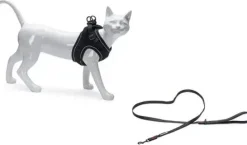 Beeztees Parinca kattentuig met lijn zwart S/M