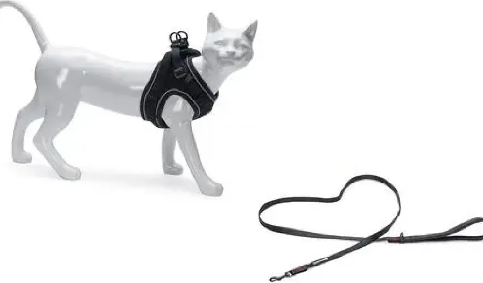 Beeztees Parinca kattentuig met lijn zwart S/M