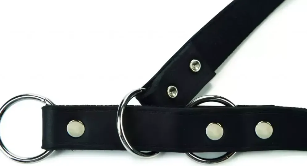 Beeztees Wurghalsband leer 70cm 12mm zwart