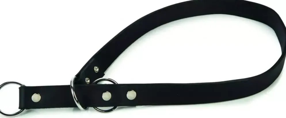 Beeztees Wurghalsband leer 70cm 12mm zwart