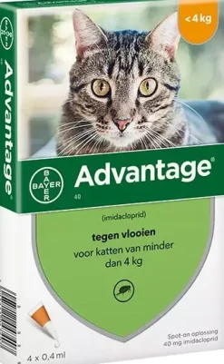 Beschermt katten tegen vlooien
