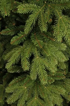 Black Box Trees Brampton slim kunstkerstboom groen 185cm