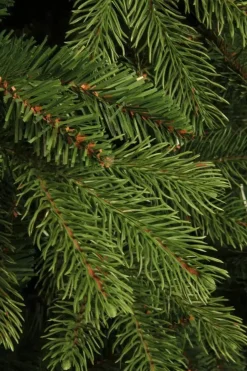 Black Box Trees Brampton slim kunstkerstboom groen 230cm