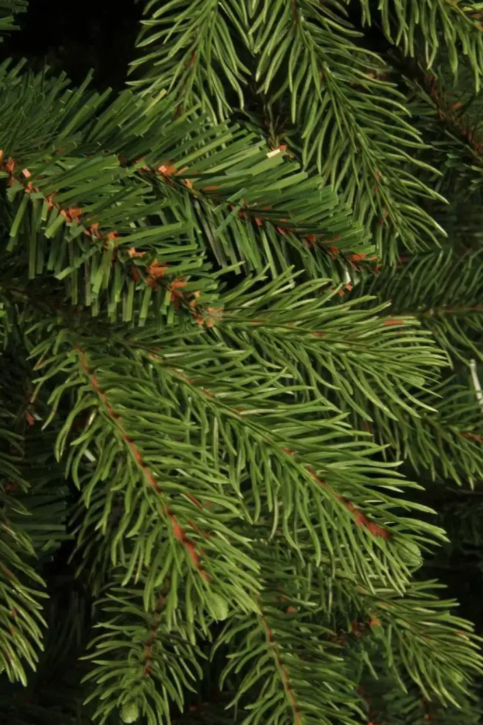 Black Box Trees Brampton slim kunstkerstboom groen 230cm