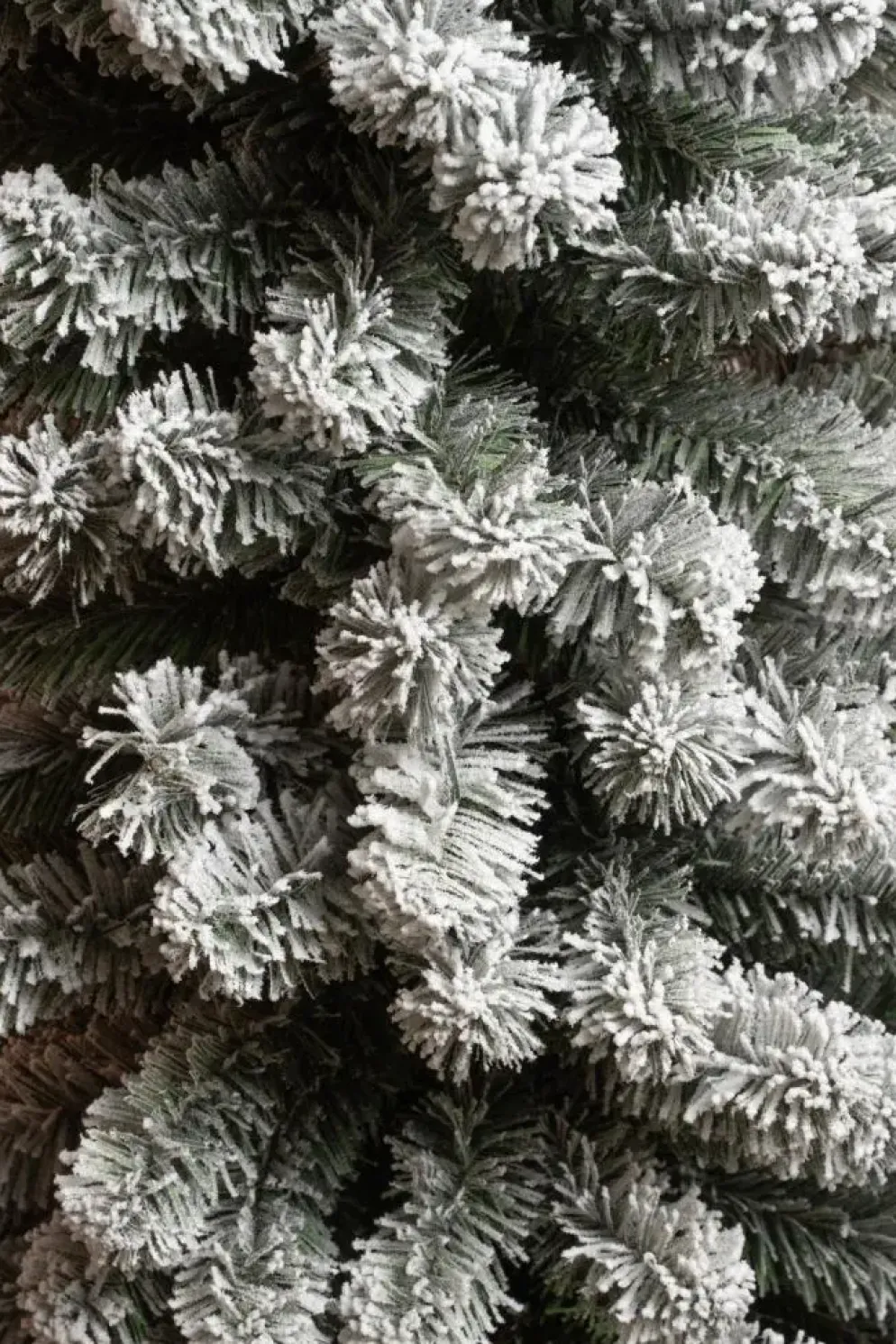 Black Box Trees Charlton Pilar kunstkerstboom besneeuwd groen 155cm