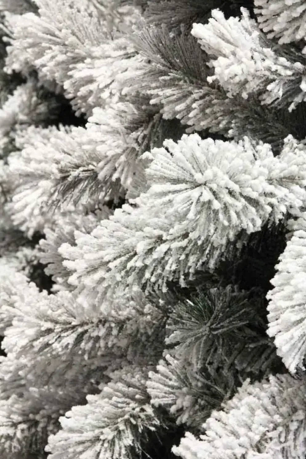 Black Box Trees Medford kunstkerstboom besneeuwd groen 185cm