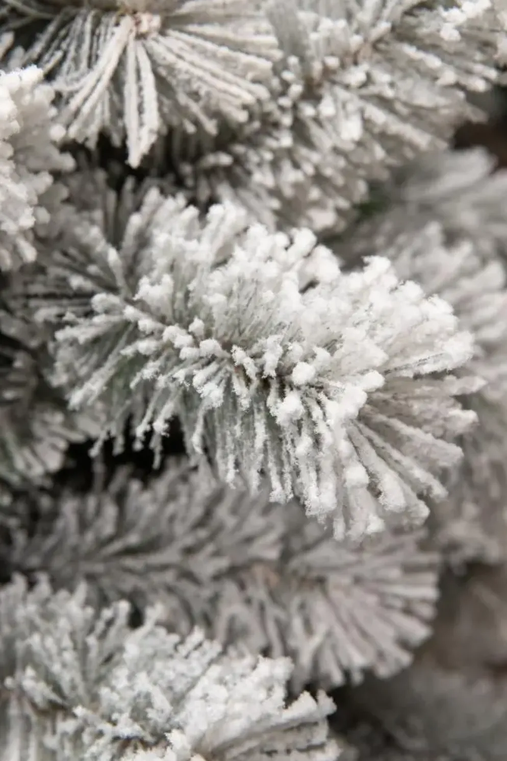 Black Box Trees Medford kunstkerstboom besneeuwd groen 185cm