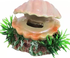 Boon aqua deco ornament bubbel polyresin schelp met uitstromer, 5,5 cm