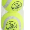 Boon Hond Speelg. tennisbal squeak s geel net 4st