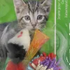 Boon kattenspeelgoed funtube+verenmuis a 3st