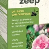 BSI Ecopur Zwarte Zeep Concentraat 500 ml