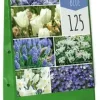 Bulb garden blue 125 bloembollen