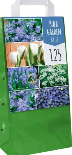 Bulb garden blue 125 bloembollen