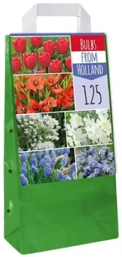 Bulbs from Holland 125 bloembollen