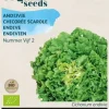 Buzzy® Andijvie Nummer Vijf 2 (BIO)