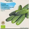 Buzzy® Augurk Profi F1 (BIO)