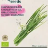 Buzzy® Bieslook Knoflook (BIO)