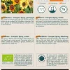 Buzzy® Helianthus, Zonnebloem Compact Spray(BIO)