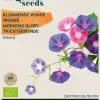 Buzzy® Ipomoea, Klimmende Winde gemengd (BIO)