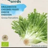 Buzzy® Krulandijvie Grosse Pancalière (BIO)