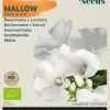 Buzzy® Lavatera, Bekermalva Mont Blanc (BIO)