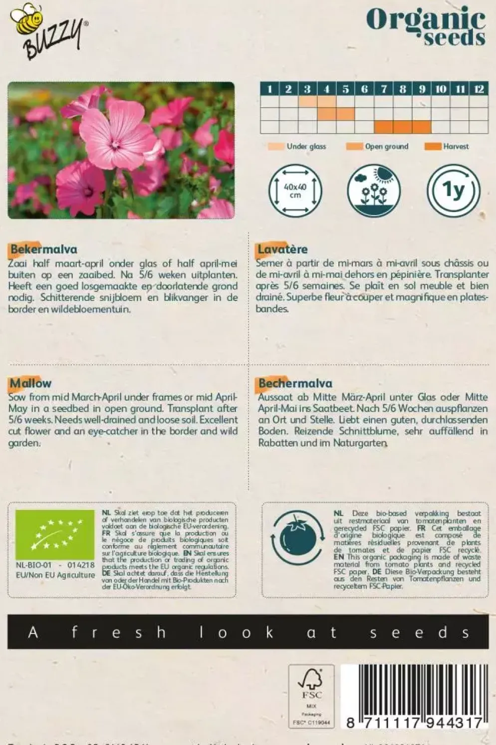 Buzzy® Lavatera, Bekermalva rose/rood (BIO)