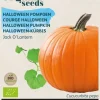 Buzzy® Pompoen Jack O'Lantern (BIO)