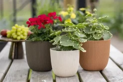 Capi 'made with' groove bol bloempot 21.5x20 cm warme taupe