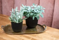 Capi 'made with' groove bol bloempot 26x23 cm zwart